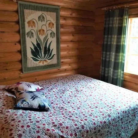 Chalet Peikonpesae