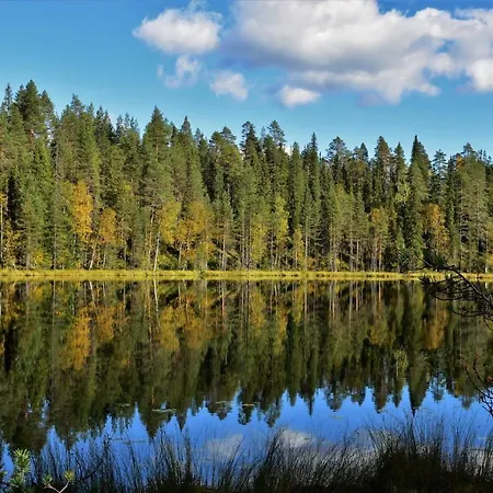 Peikonpesae 木屋 索特