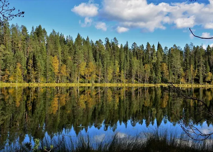 Peikonpesae Chalet Syöte